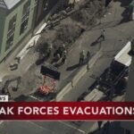 Savannah Guthrie: The Woman Who Redefined Morning Television