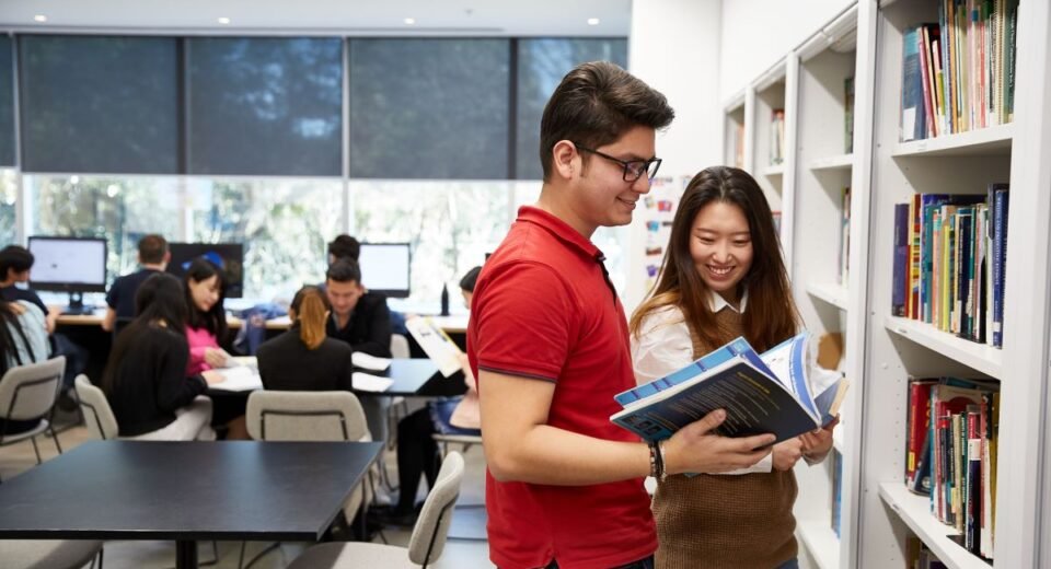 professional article writing service