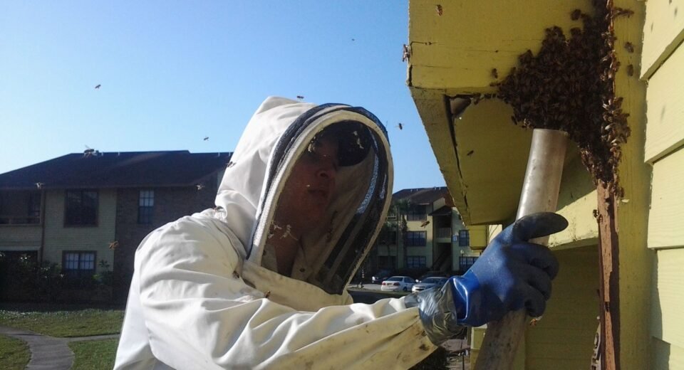 How to Prevent Bees From Nesting in Stone Walls and Pathways