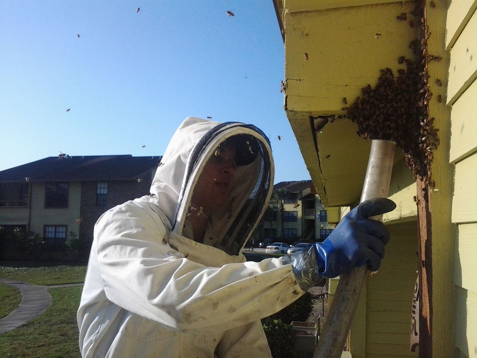 How to Prevent Bees From Nesting in Stone Walls and Pathways