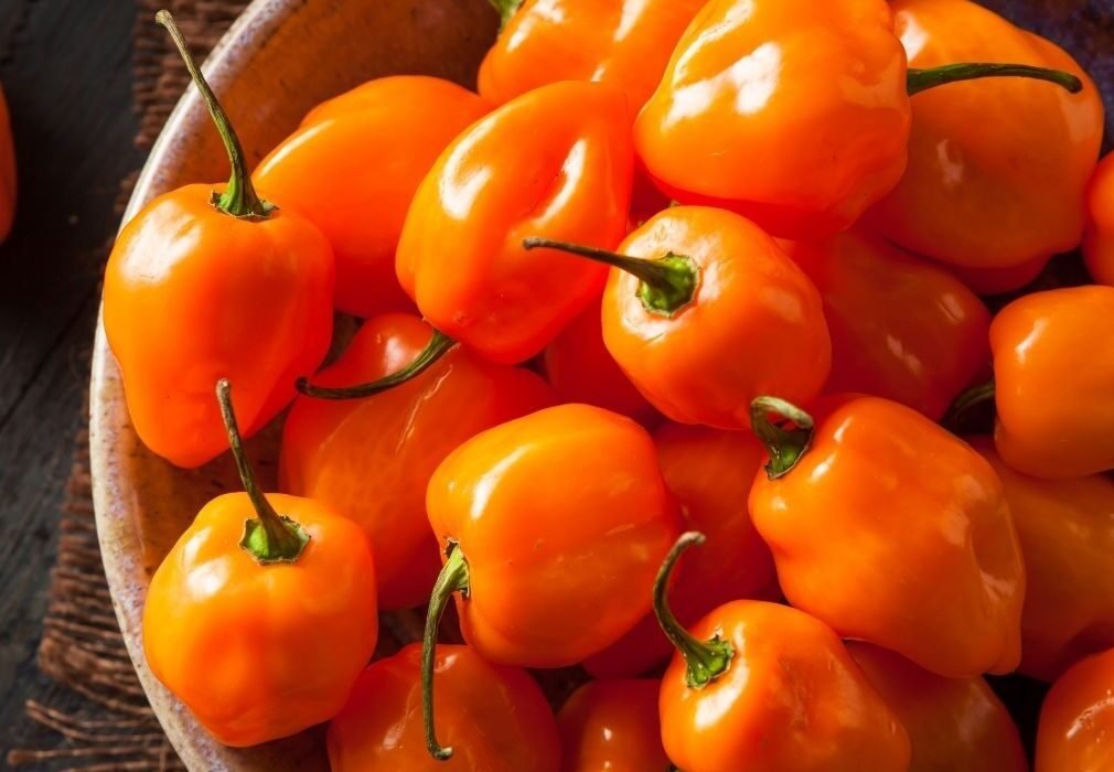 Habanero Flavor: Everything You Need to Know About This Fiery Sensation